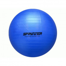 Мяч гимнастический GYM BALL диаметр 65 см Синий